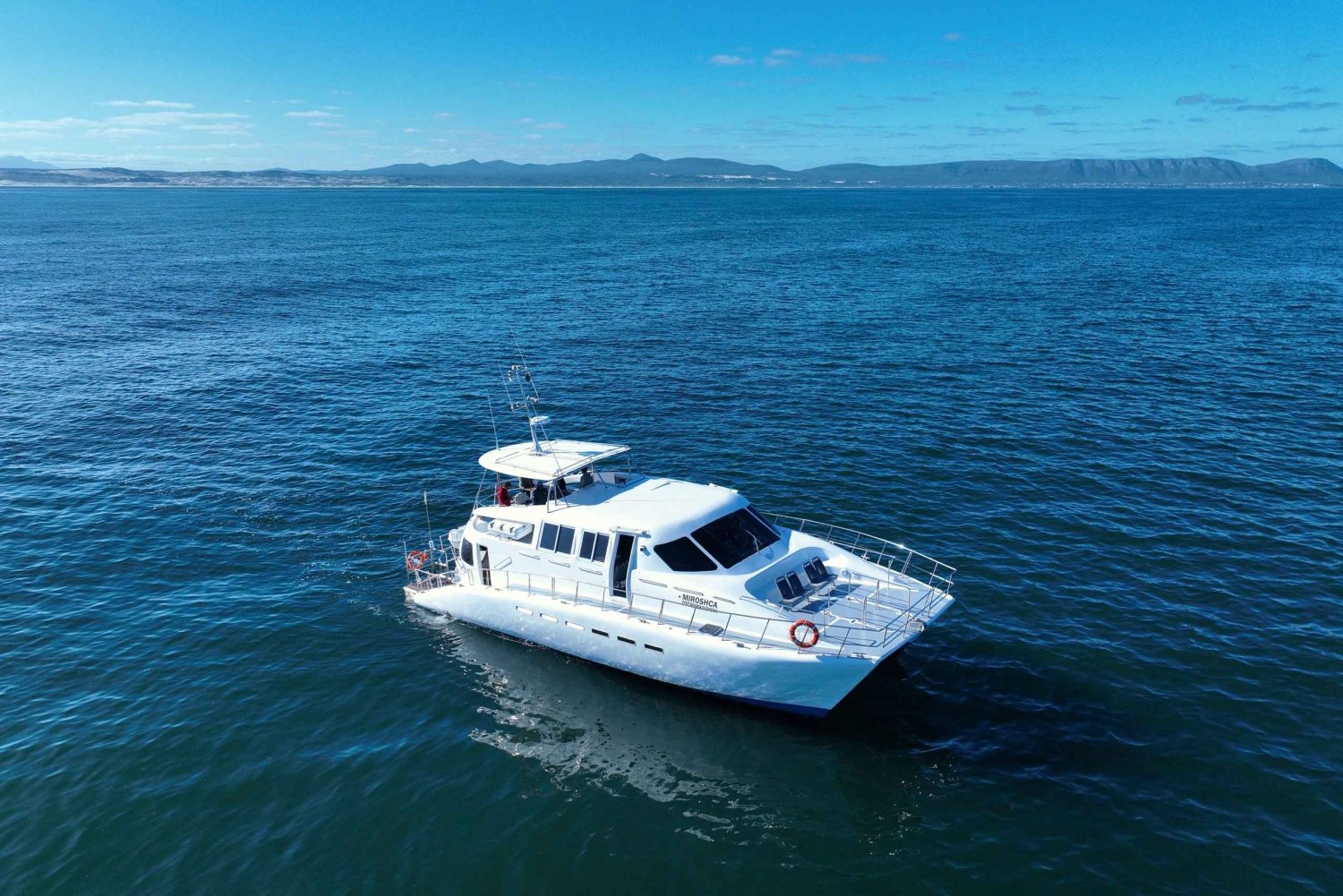 Hermanus: Avistamiento de Ballenas y Prueba de Vinos