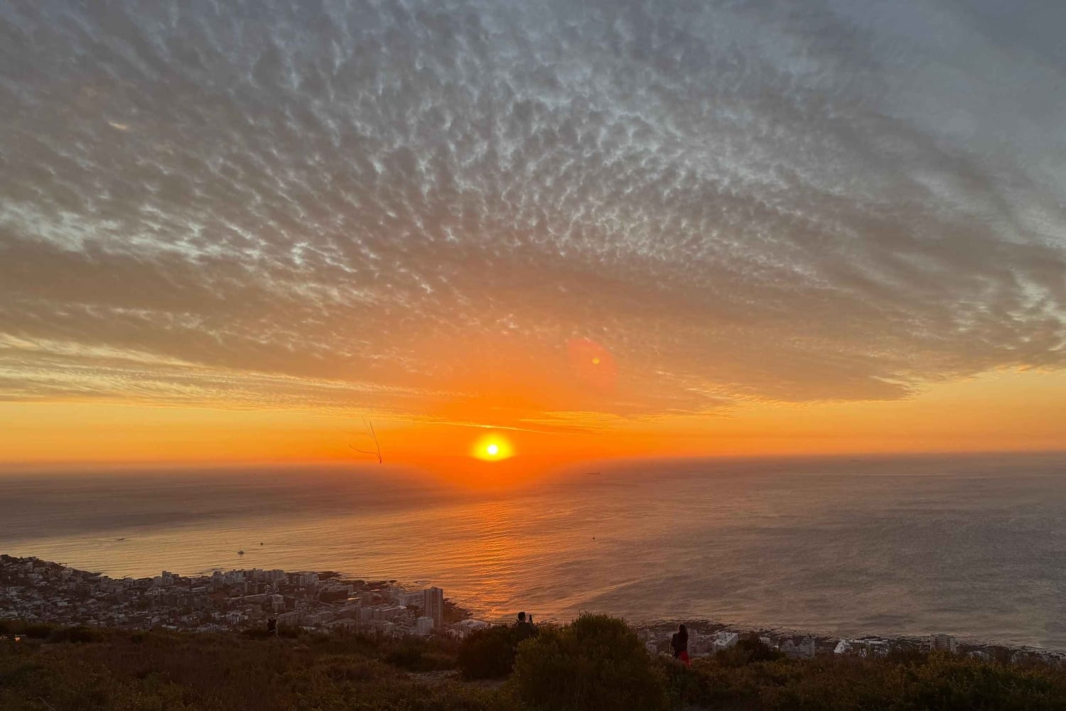 ハイグラウンド：ケープタウンのストリートアートと地元の物語を巡るツアー