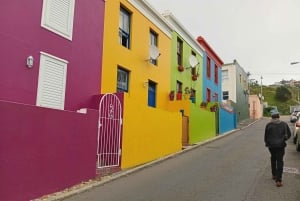 ハイグラウンド：ケープタウンのストリートアートと地元の物語を巡るツアー