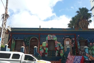 ハイグラウンド：ケープタウンのストリートアートと地元の物語を巡るツアー