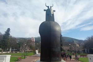 ハイグラウンド：ケープタウンのストリートアートと地元の物語を巡るツアー