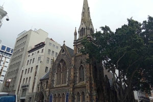 ハイグラウンド：ケープタウンのストリートアートと地元の物語を巡るツアー