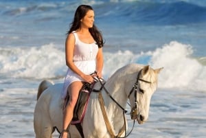 Horse Ride - Beach or Mountain View : Cape Town