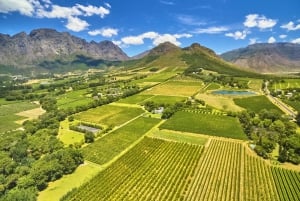 Hot air Ballon and Cape Wine lands Private guided tour