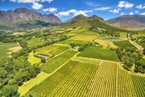 Kuuma-ilmapallo ja Cape Winelands -yksityisopastettu kierros