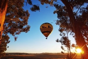 Kuuma-ilmapallo ja Cape Winelands -yksityisopastettu kierros