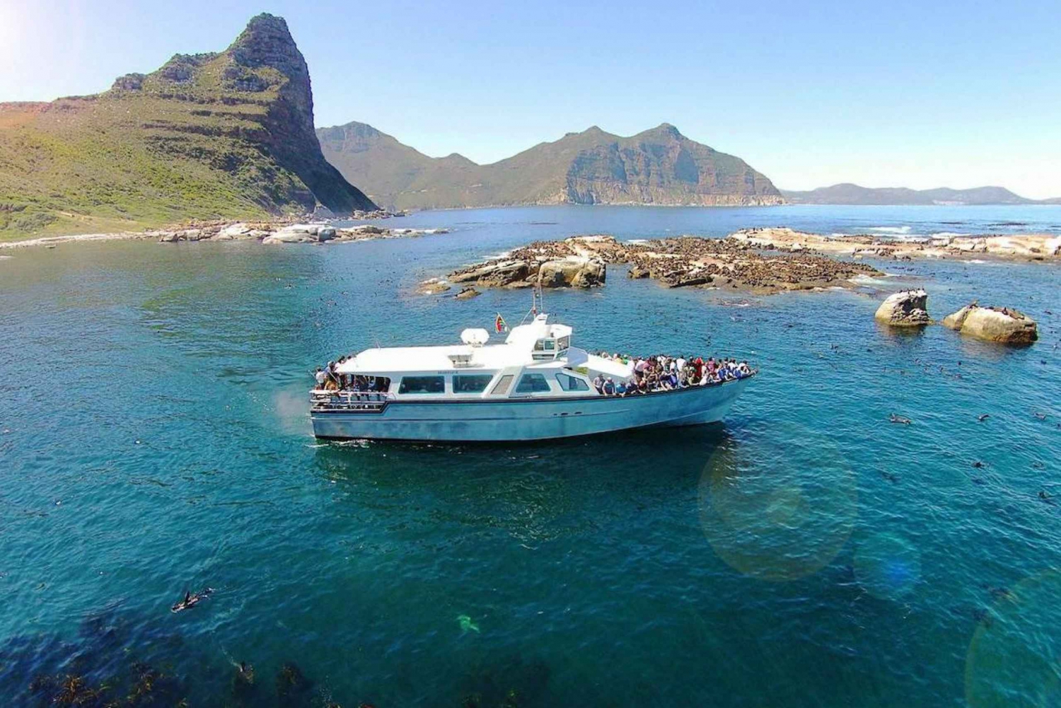 Hout Bay Duiker Island Seal Colony Cruise in Cape Town