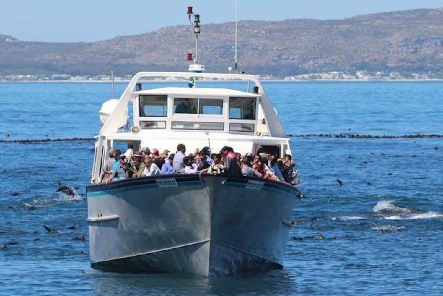 Hout Bay: Duiker Island Seal Colony Cruise