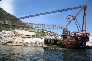 Bahía Hout: Crucero por la Colonia de Focas de la Isla Duiker
