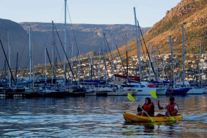 Hout Bay: Guided Kayaking Adventure