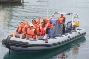 Hout Bay: Seal Island and Marine Life Guided Boat Tour