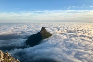 Climb Table Mountain the REAL Way! India Venster Hike!