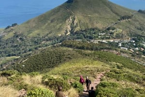 Escursione sulla Table Mountain India Venster e servizio di prelievo in hotel