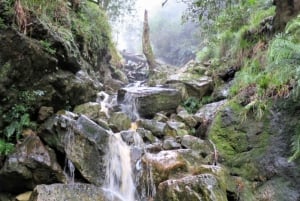 Wycieczka piesza z przewodnikiem po Górach Stołowych, Kapsztad