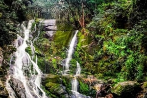 Wycieczka piesza z przewodnikiem po Górach Stołowych, Kapsztad