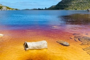 Wycieczka piesza z przewodnikiem po Górach Stołowych, Kapsztad