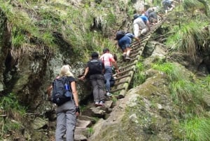 Wycieczka piesza z przewodnikiem po Górach Stołowych, Kapsztad
