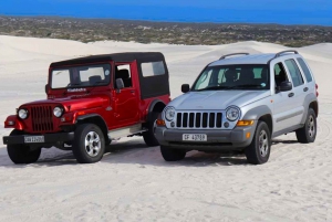 Jeep 4x4 Tours Atlantis Dunes in Cape Town