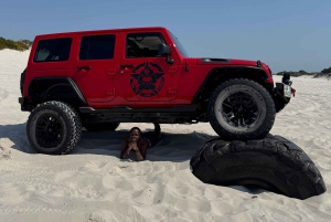 Jeepturer Cape Town Atlantis Dunes