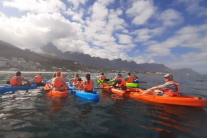 Kayak Adventure - Clifton 4th beach, Cape Town