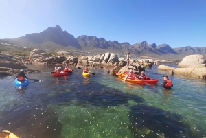 Ciudad del Cabo: Excursión guiada en kayak por las playas de Clifton y la costa