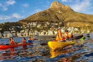 Cape Town: Guided Kayak Tour of Clifton Beaches & The Coast