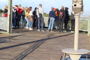 Khayelitsha: tour a piedi della città di 3 ore