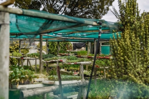 Recorrido cultural en bicicleta por Khayelitsha con transporte y almuerzo