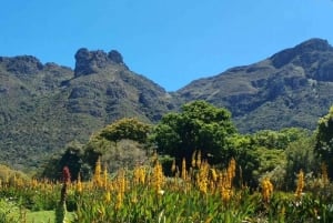Kirstenbosch: En selvguidet audiotur