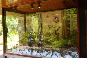 Kirstenbosch : Une visite guidée audioguidée