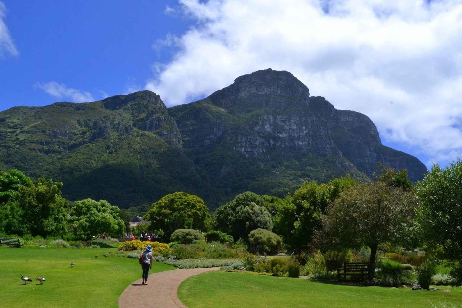 Kirstenbosch botaniske hage og Constantia vinregion