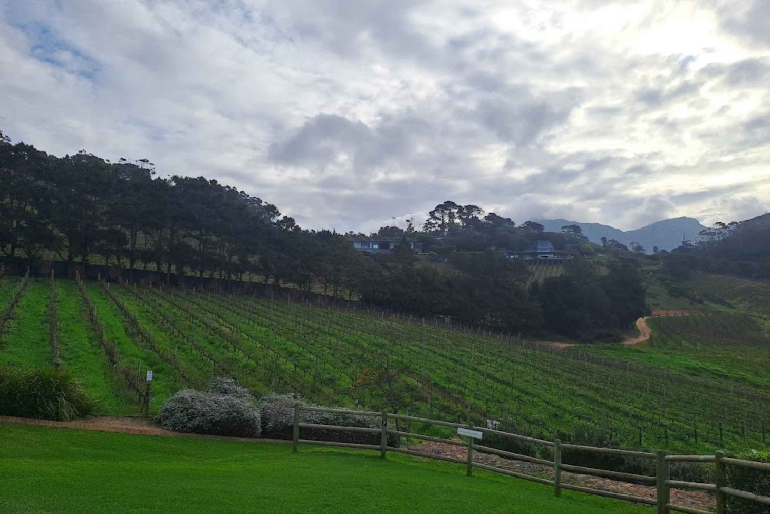 Kirstenbosch botaniske hage og Constantia vinregion