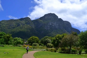 Kirstenbosch botaniske hage og Constantia vinregion
