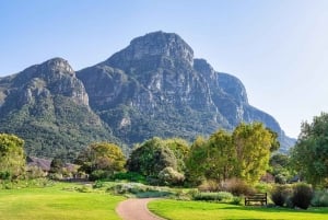 Kirstenbosch botaniske hage og Constantia vinregion