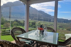 Kirstenbosch botaniske hage og Constantia vinregion