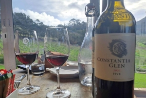 Kirstenbosch botaniske hage og Constantia vinregion