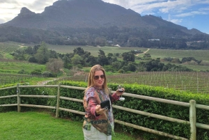 Kirstenbosch botaniske hage og Constantia vinregion