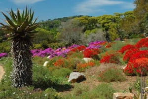 Botanische tuinen Kirstenbosch en wijnproeverij Constantia