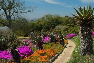 Kirstenbosch Botanical Gardens and Constantia Wine Tasting