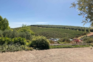 Kirstenbosch Botanical Gardens and Constantia Wine Tasting