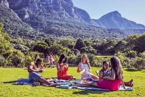 Visita a los Jardines Kirstenbosch, los Pingüinos de Bo-Kaap y la Península del Cabo