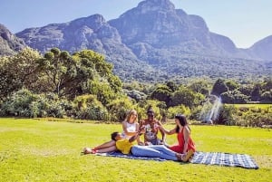 Visita a los Jardines Kirstenbosch, los Pingüinos de Bo-Kaap y la Península del Cabo