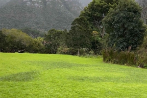 Picnic en el jardín de Kirstenbosch o en la playa de Clifton