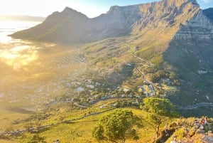 Caminhada ao nascer do sol em Lion's Head