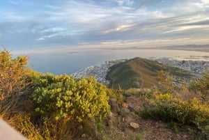 Escursione alla Lion's Head: Città del Capo - Escursione all'alba o al tramonto