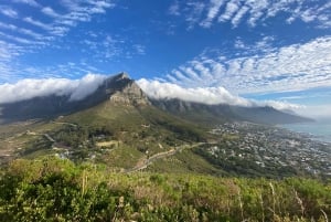 Escursione alla Lion's Head: Città del Capo - Escursione all'alba o al tramonto