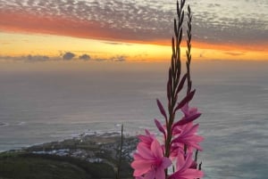 Escursione alla Lion's Head: Città del Capo - Escursione all'alba o al tramonto