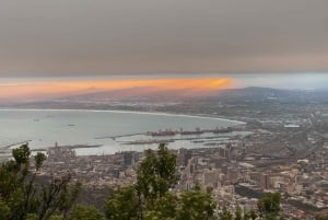 Escursione alla Lion's Head: Città del Capo - Escursione all'alba o al tramonto