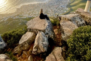 Поход на Левью голову: Кейптаун — поход на рассвете или закате