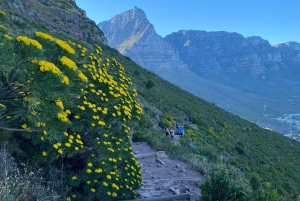 Поход на Левью голову: Кейптаун — поход на рассвете или закате